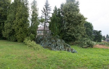 DSC_6559 Panorama