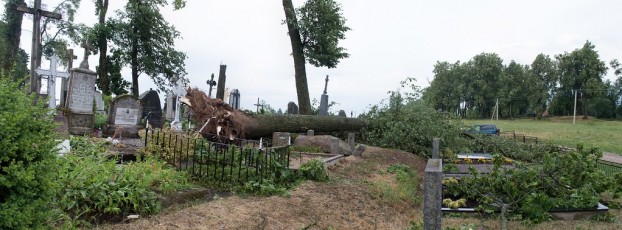 DSC_6464 Panorama