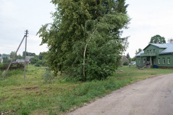 DSC_6553
