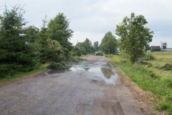 DSC_6401
