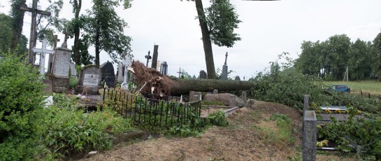 DSC_6464 Panorama3